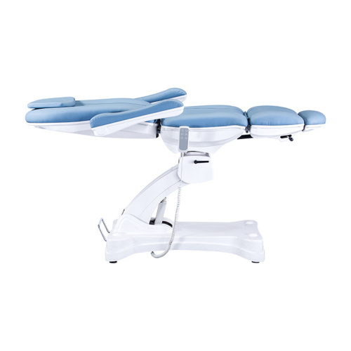 Blue color hot selling electric facial bed TS-2167
