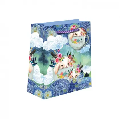 CARTON PAPER  GIFTBAG -0