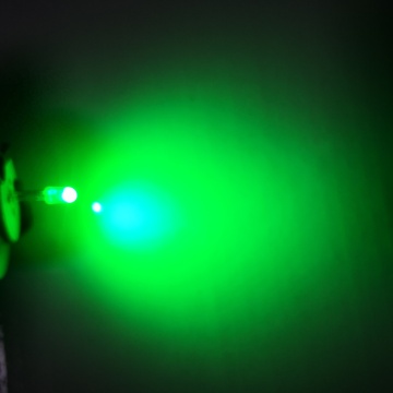 Ultra hell 3 mm grün diffuse ovale LED -Dioden für Anzeigebildschirme