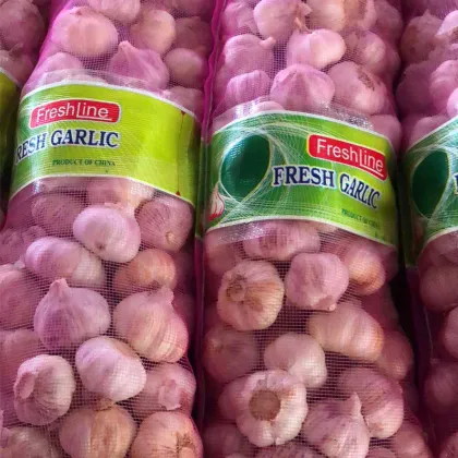 Fresh Garlic Vegetable Normal s