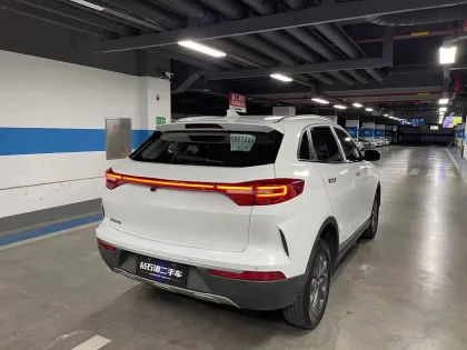 2021 Weltmeister Used Car EX5