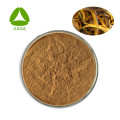 Cortex Phellodendri Extract Powder Berberine Hydrochloride