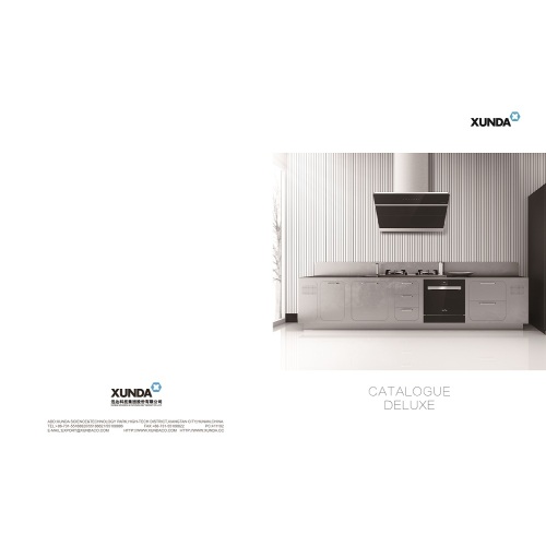 Filter Arang Asia. Cooker Hood