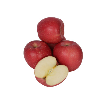 Yantai Fresh Fuji Apple