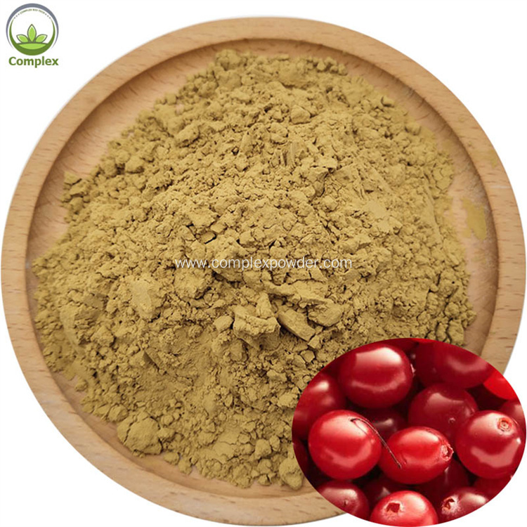 Best selling products organic bilberry extract