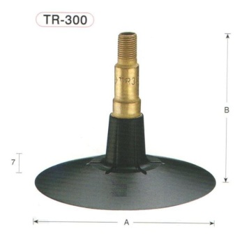 passenger car tire valve TR300