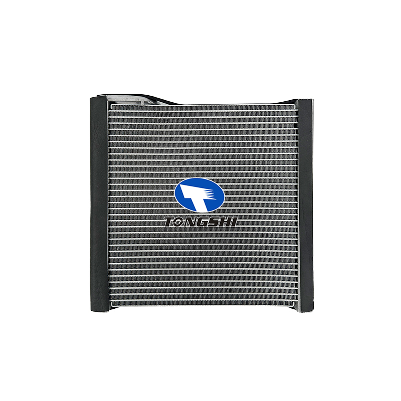 3C1820103D Car AC Evaporator for Volkswagen CC 2009-2013/Eos 2007-2017/Magotan/Passat 2005-2014