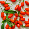 Gefrorene rote Goji-Beeren