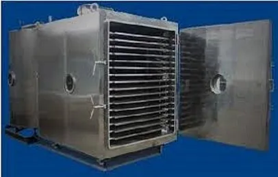 Cranberries Freeze drying equipment