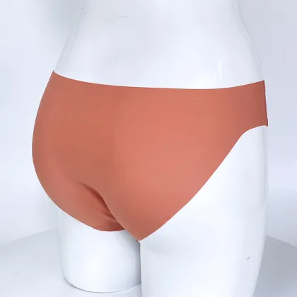 Women`s Seamless Underwear No Show Panties