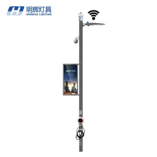 Hot Sale Smart Pole: Integrated Charge Station and Street Light