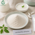 Lactobacillus salivarius para suplementos dietéticos