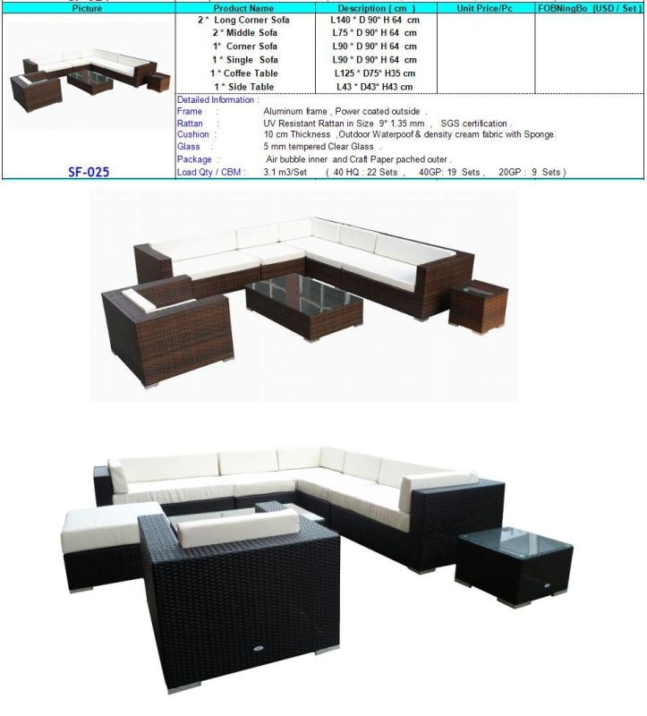 Outdoor PE Plastic Wicker Sofa Set (SF-025)