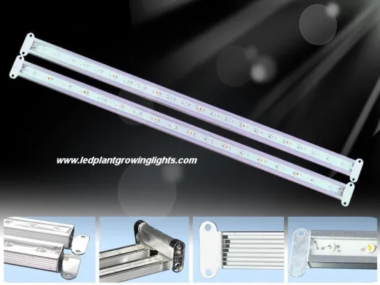 656lm Hydroponic Indoor Led Plant Growing Light Ip68 , Energy Efficient Grow Lights