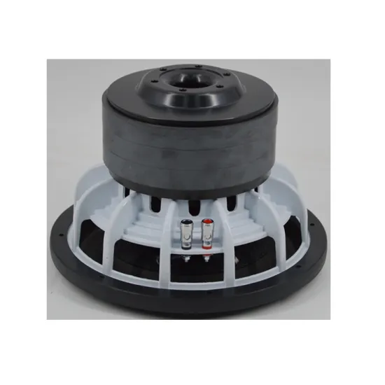 10 Inch Slim Woofer Speaker 1200WRMS 92dB High Performance Car Subwoofer