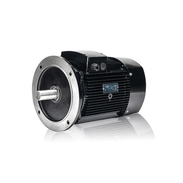 Moteur électrique réducteur de vitesse durable