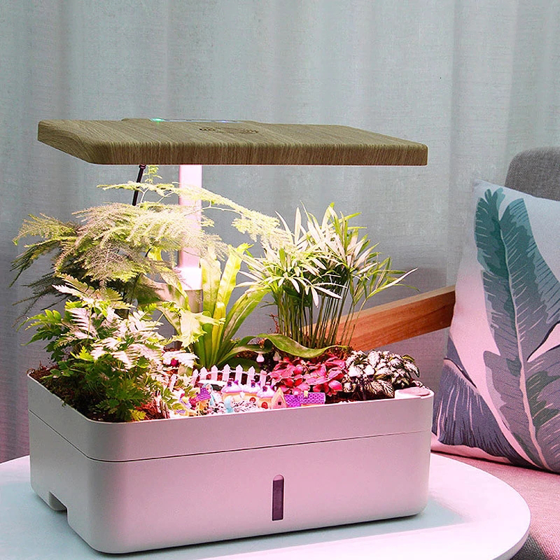 Skyplant Most popular desk intelligent hydroponic system