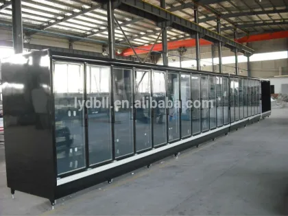glass door freezer,glass door display freezer,glass door dual-temperature freezer,double temperature freezer