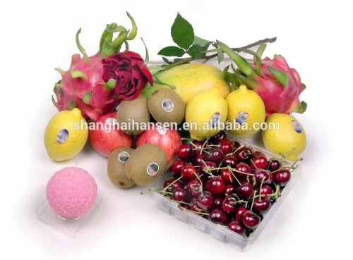 Fresh fruit importation process