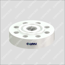 Dual Plate Check Valve