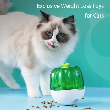 Training Cat Toy Fun Pet Feeder Educational Tumbler