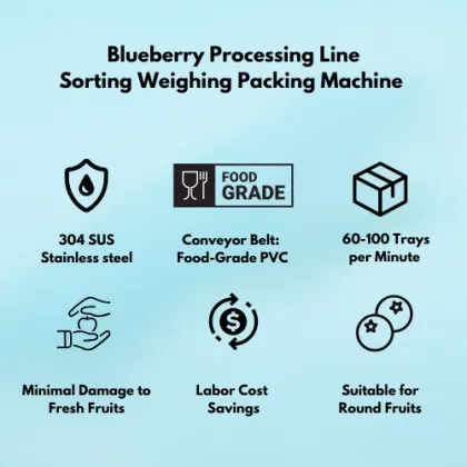 Cost-Effective Automatic Weighing and Packing Machine for Berry Farms