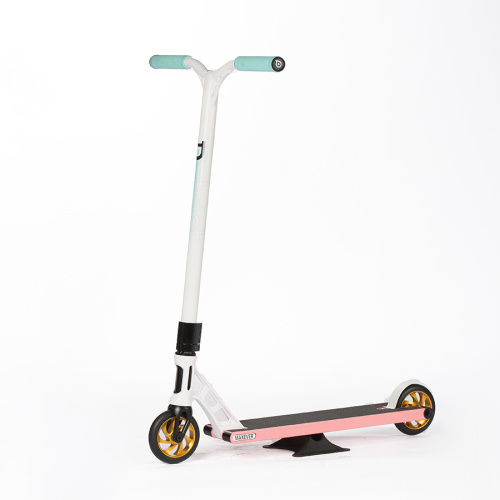 Scooter Sunt do pé de pontapé personalizado para adulto