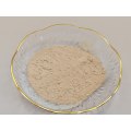 Ekstrak ginseng merah