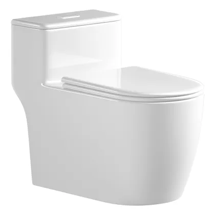 Ceramic One Piece Toilet with S-trap Siphon