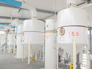 Linea di produzione raffineria di semi di cotone