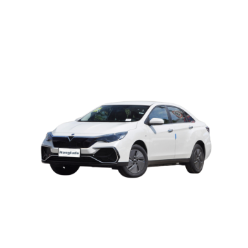 2024 Dongfeng Nissan Venucia D60 EV: 420km-450km Range Electric Car | Affordable Dongfeng Options