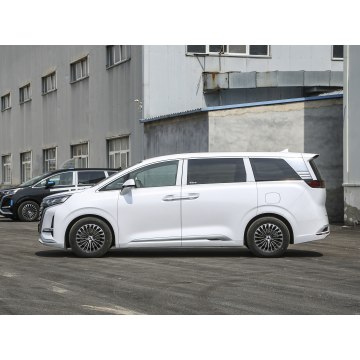 Luxury Business Electric MPV DENZA D9