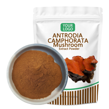 Zhongyiherbs Antrodia Camphorata Mushroom Extract