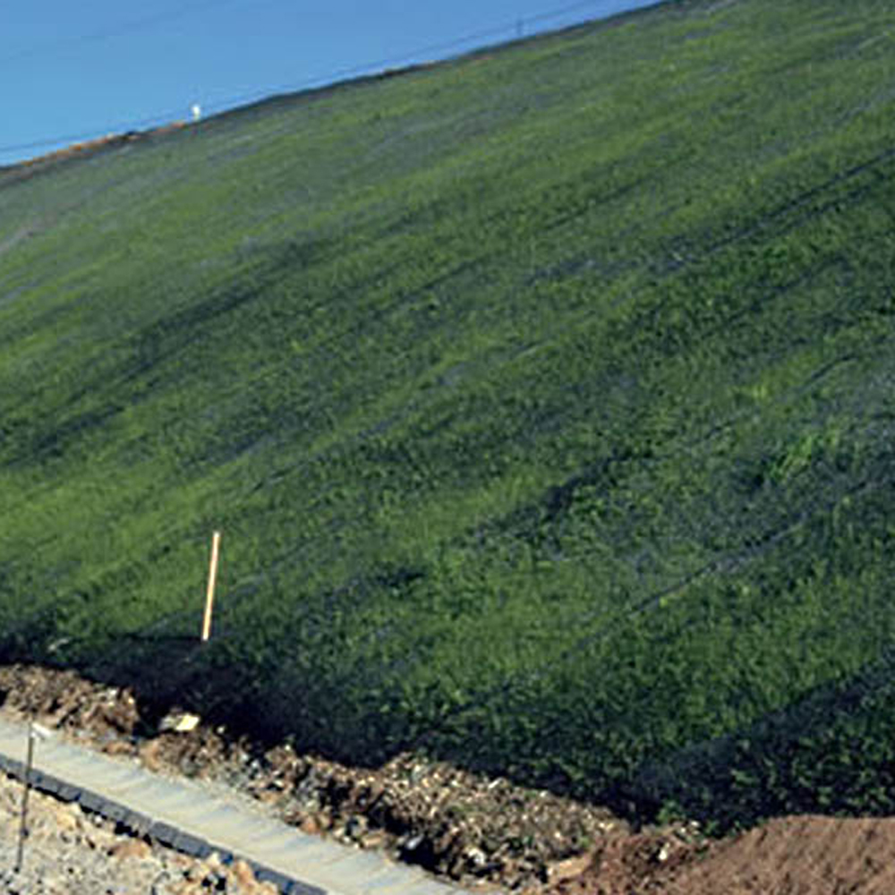 Rede plástica da esteira do controle da erosão da inclinação