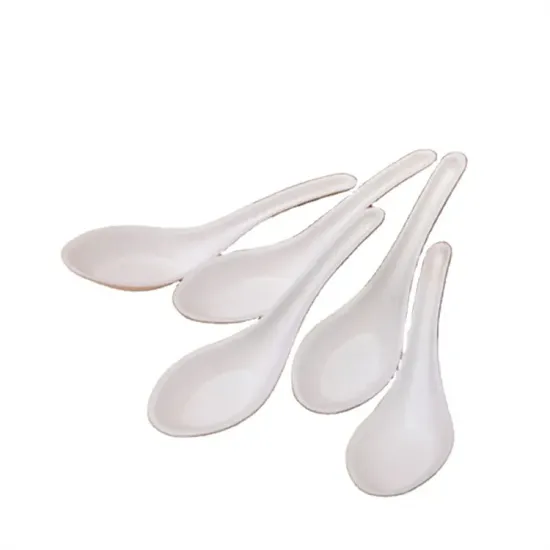 Biodegradable paper bagasse soup dinner spoon for serving