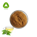 Instant Herbal Tea Nettle Leaf Extract Powder