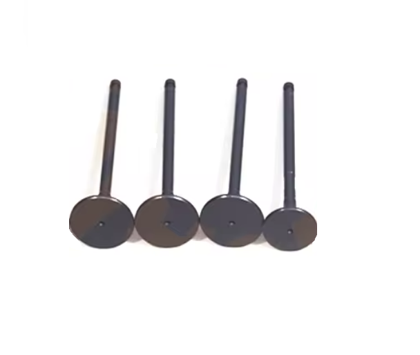 Automotive Intake Valve Set