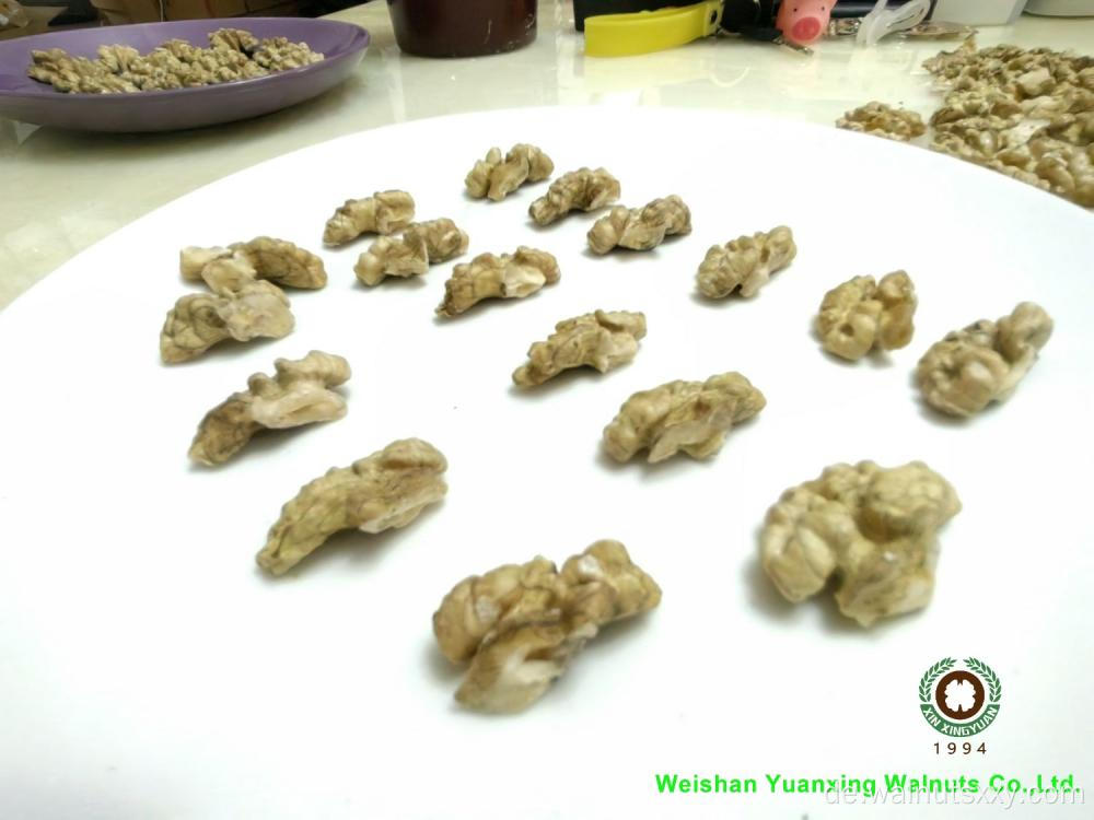 Kinderbetragsnack chinesische Walnuss -Walnuss -Kerne von Kindern
