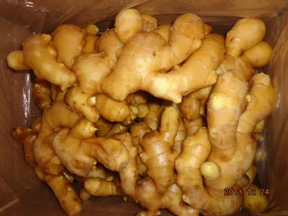 export fat fresh ginger