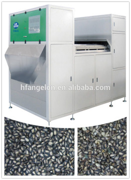 Angelon Watermelon Seed Color Sorting machine