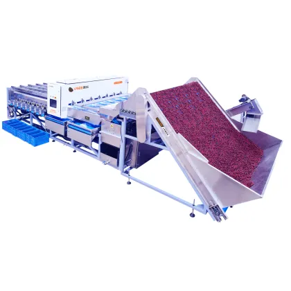 Jujube Sorting Machine: Red Dates Classifier and Fruit Sorting Equipment
