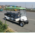 Carritos de golf personalizados con cargador de batería con caja de carga