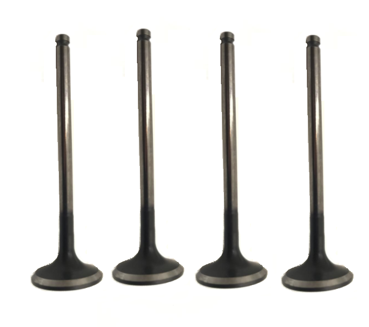Intake Valve for Engine 1011A327