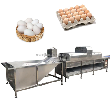 Industrial Dirty Egg Washing Machine - Mud Chicken Egg Washer Cleaner & Sorting Machine