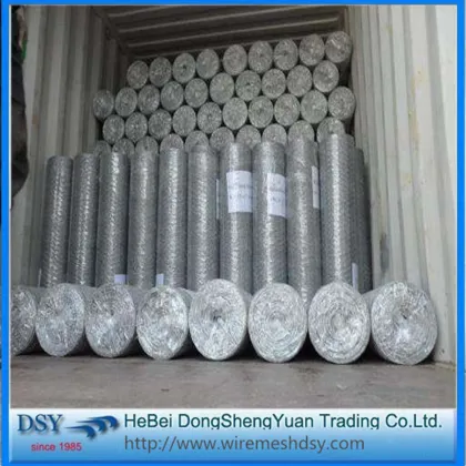 Hexagonal Wire Mesh for Raising Chicken