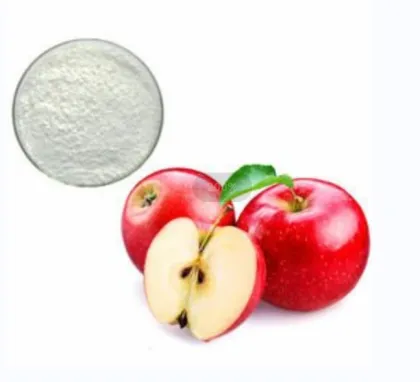 fruit extract powder apple extract