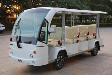 Auto da 11 posti elettrici turisti elettrici