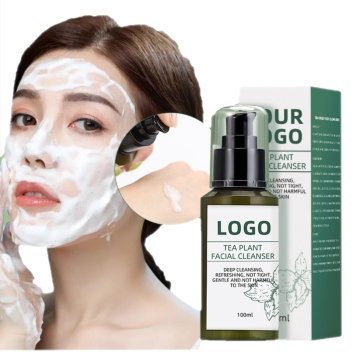 Hot Sale Kit: Deep Cleansing, Refreshing Exfoliating Gentle Tea Plant Facial Cleanser with Custom Logo
