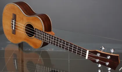 Strings instruments travel  small 34 inch ukulele