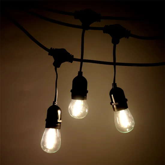 Custom LED Festoon Lighting Outdoor Vintage Patio Light String 48FT